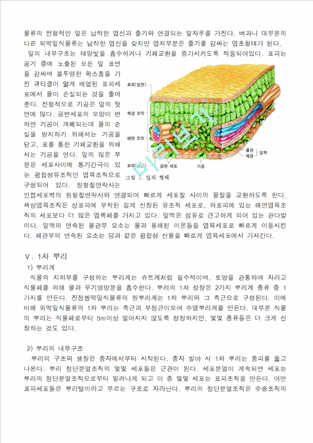 [의학,약학]생물학 - 식물조직에 관해서.hwp